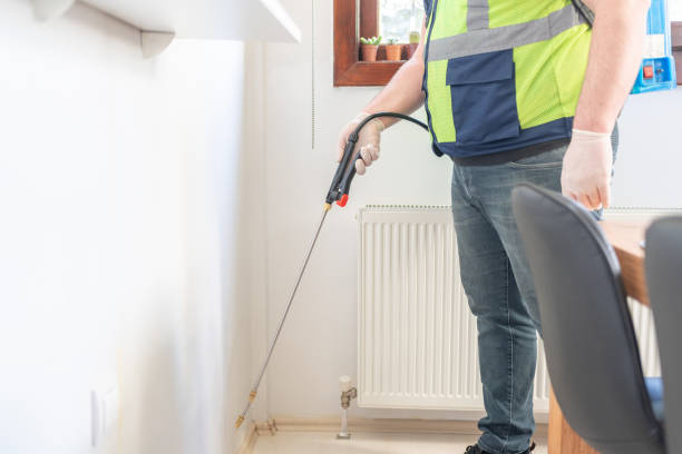 Best Flea Control Services  in Pinch, WV