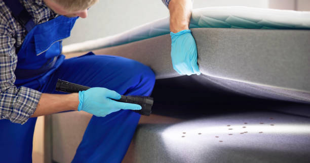 Best Pest Removal Services  in Pinch, WV